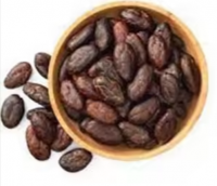 Wholesale Dried Cocoa Beans For Exports Cheap Price