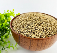 Quality Wholesale Supplier of Animal Feed Grade Organic Canary Seeds