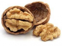 good grade walnuts in bulk from netherland