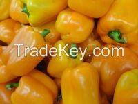 Fresh Yellow Capsicum