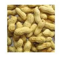 Top Quality Peanuts In Shell