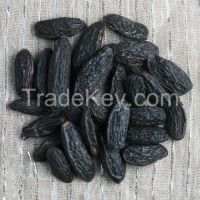 Tonka Beans