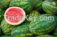 Fresh Watermelon