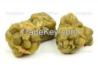 High quality Mustard Tuber