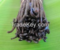 High Quality Vanilla Beans
