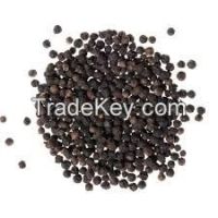 Quality White and Black Pepper