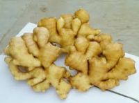 Quality 100% Fresh Ginger