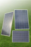 Sell polycrsytalline photovoltaic module