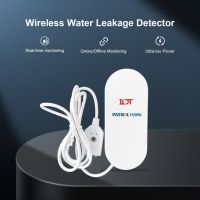 Hot Selling Wireless Water Leakage Detector Alarm