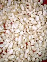 quality white maize