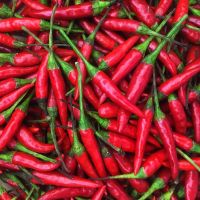 Red fresh chili pepper