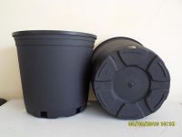 Sell Injection Molded Pot