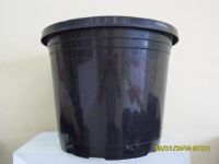 Sell Plastic Tree Pot