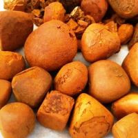 Hot Selling Cattle Buffalo Cow Gallstones Whole Broken Ox Gallstone Original Yellow Product Wholesale in Stock