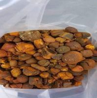 cow gallstones cattle buffalo cows product yellow original whole broken gallstone supplier for sale