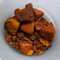 Quality Dried Ox Cow Gallstone Cattle/Gallstones Cow Gallstones Buy Cow Gall Stones for sale