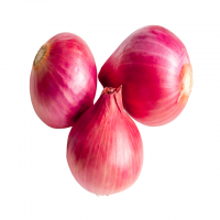Best Price Fresh Onions Bags Mesh Bag Rich Nutrition In Stock Buy Fresh Onions Wholesale Fast Delivery Available For Sale
