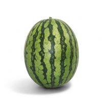 Top Quality Sweet Fresh Watermelon Natural Juicy Fresh Fruits Best Price In Stock Fast Delivery Wholesale Price