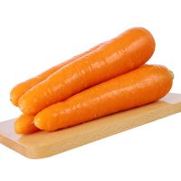 New Crop Red Carrots Low Price Wholesale Fresh Vegetables Supplier Buy Today Best Price In Stock for Sale