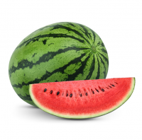 Natural Juicy Fresh Watermelon for Sale Top Quality Best Price Wholesale Fresh Fruits Available Now