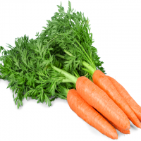 Wholesale Fresh Carrots In Stock Cheap Price Best Price Supplier Buy Today Available Fast Delivery for Sale
