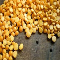 Yellow Peas