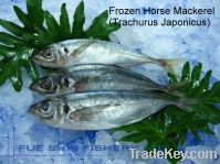 Sell Frozen Horse Mackerel (Trachurus Japonicus)