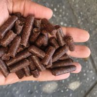 Wood pellet for fuel