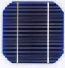 125x125mm mono-Si solar cells
