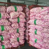 Cheap Garlic For Sale