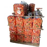 Cheap Carrot for sell