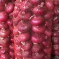 Cheap Onion