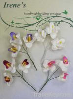 Sell 2 cm Orchid Pack (12)