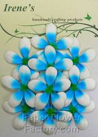 Sell Frangipani Flower Pack (10)