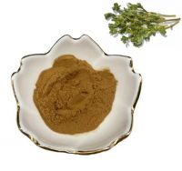 Purslane herbs extract wholesale