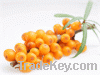 Sell Seabuckthorn fruit Oil