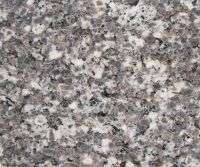 Grey Leaf Granite