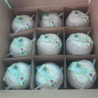 Vietnamese coconut products