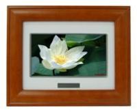 Sell 7inch digital photo frame KDF-711