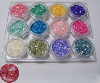 Sell Shell Powder/Glitter Powder/Nail Care/Art Nail Tips/Beauty