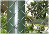 Sell PVC  chain link fence  50x50mm