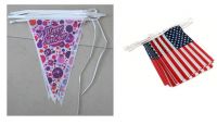 Plastic Bunting and pennant