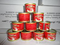 Sell Tomato Paste from 70g to 3kg
