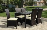 Synthetic Rattan Furniture (Dining Set)
