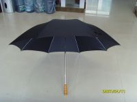 Sell promotion umbrella