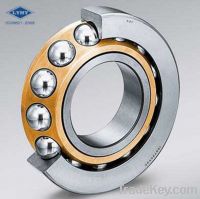 Spindle Bearing 718/719 Series for CNC Machinery