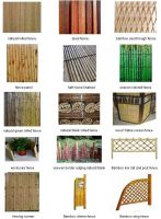 bamboo fence