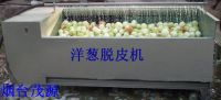 Sell onion washing and peeling machine