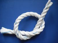 Sell Plastic Ropes