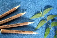 natural pencil exporter